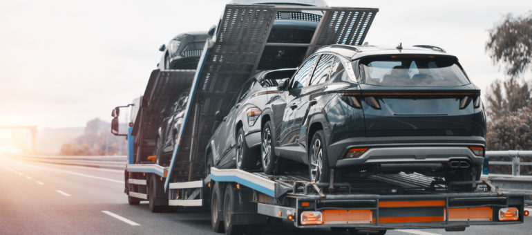 benefits of car shipping for snowbirds
